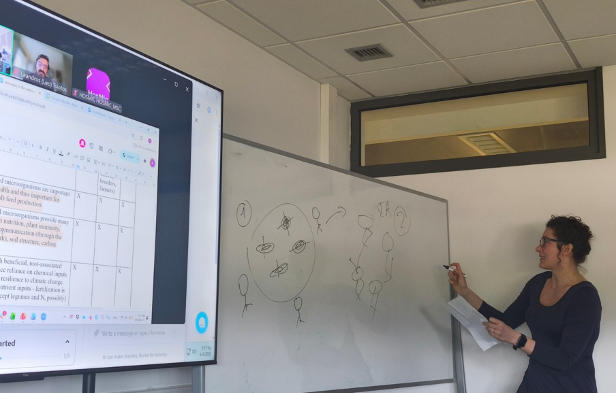 Brainstorming for the development of a science communication video on host–microbe interactions within the ROOT BENEFIT framework.